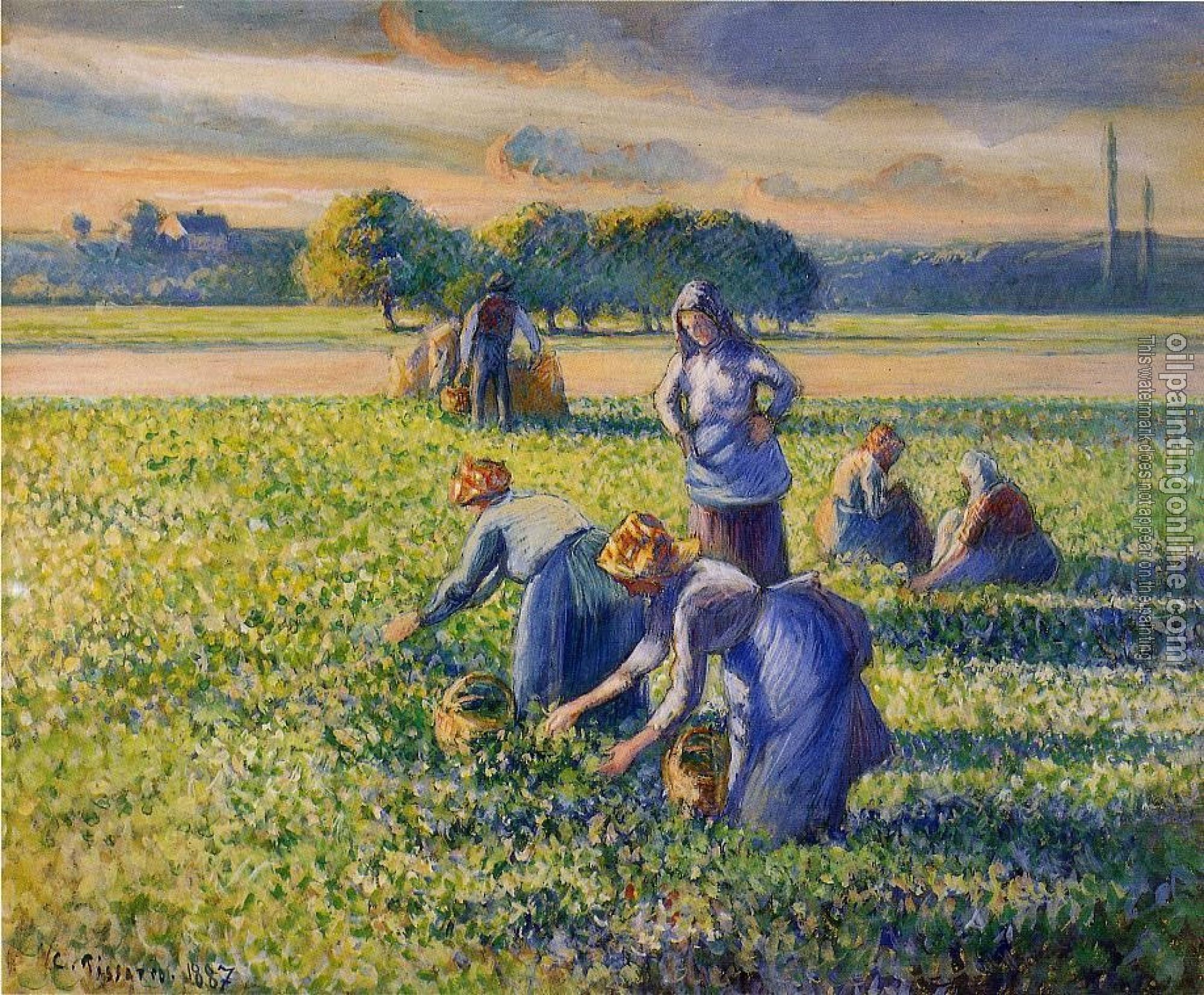 Pissarro, Camille - Picking Peas